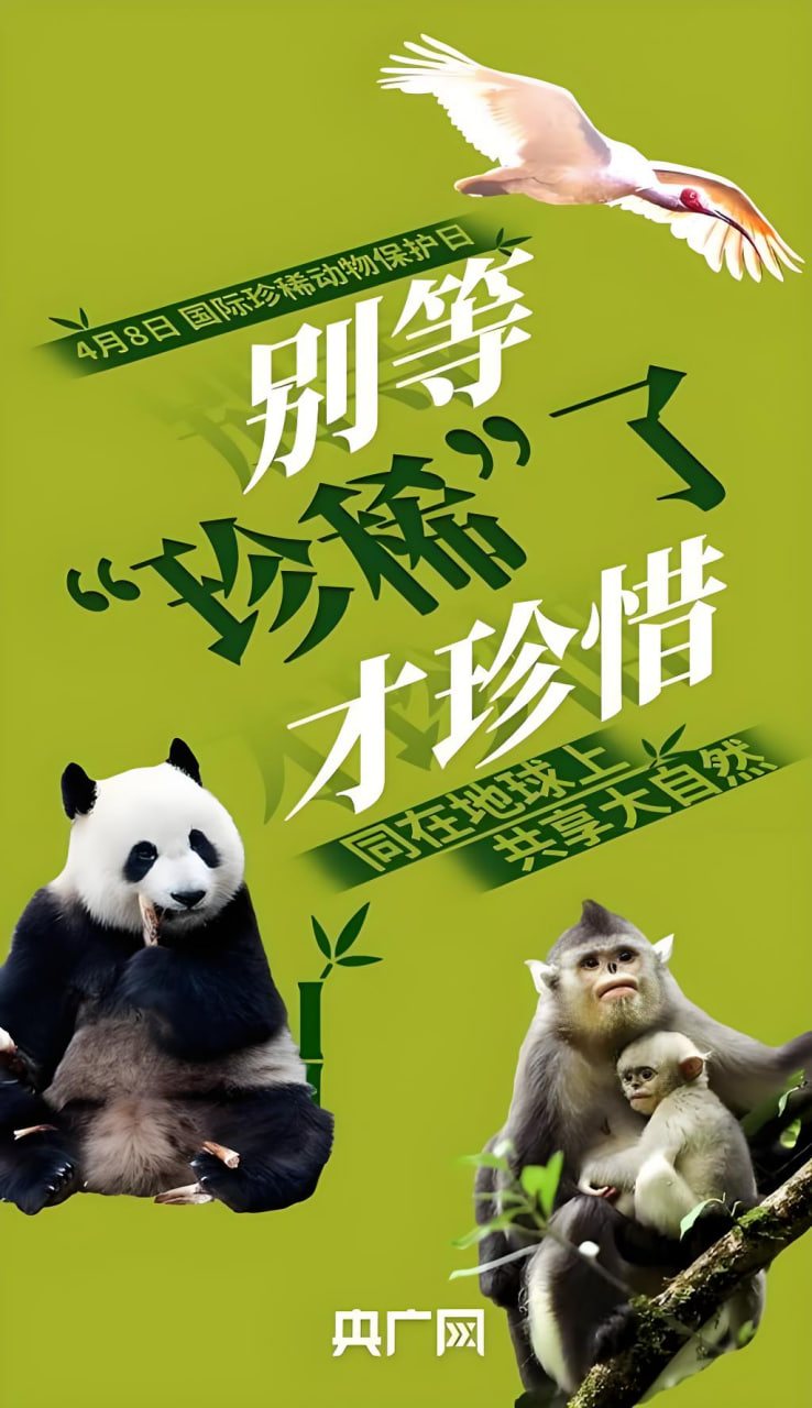 进击的巨人